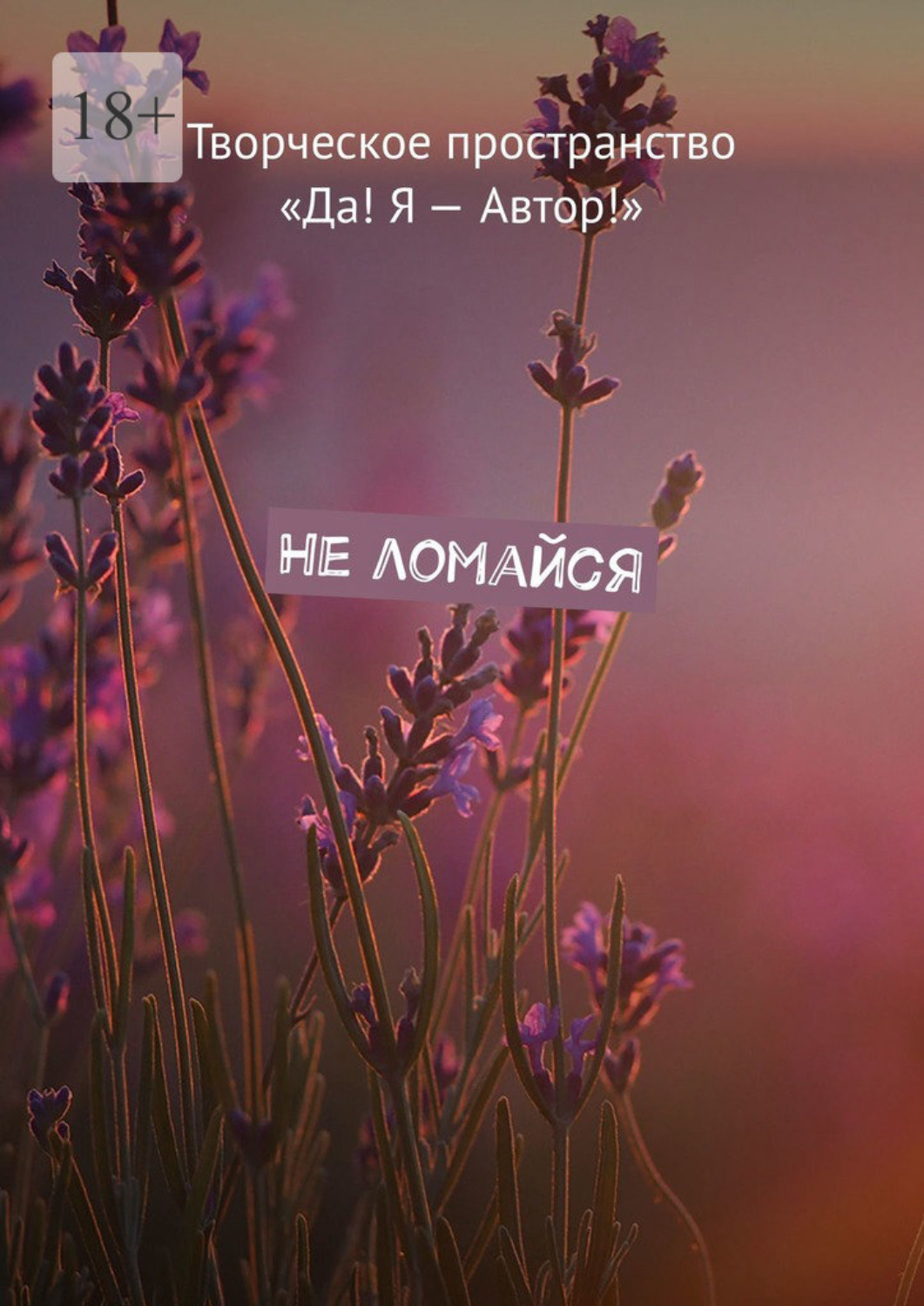 Обложка книги «Не ломайся»