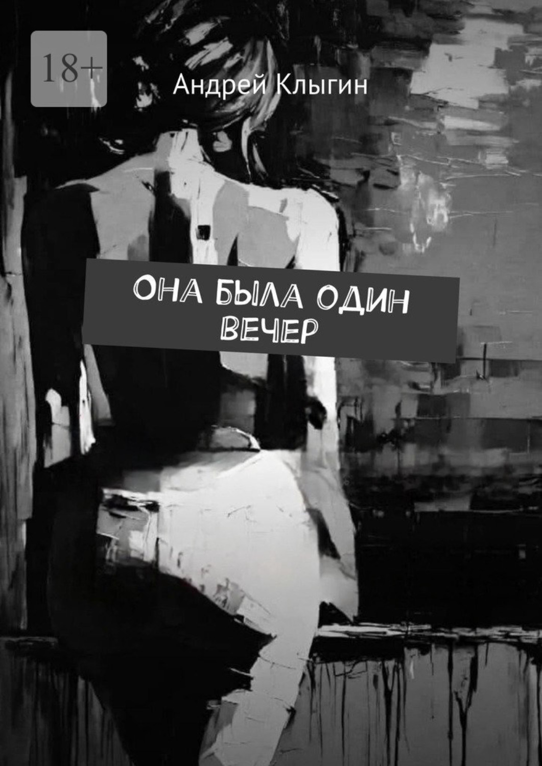 Обложка книги «Она была один вечер»