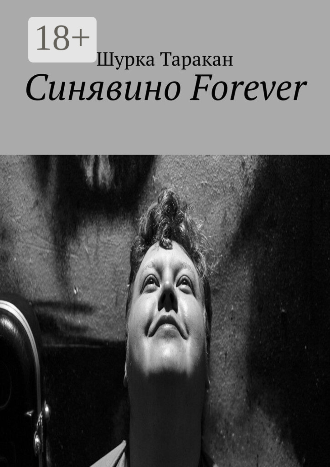 Обложка книги «Синявино Forever»
