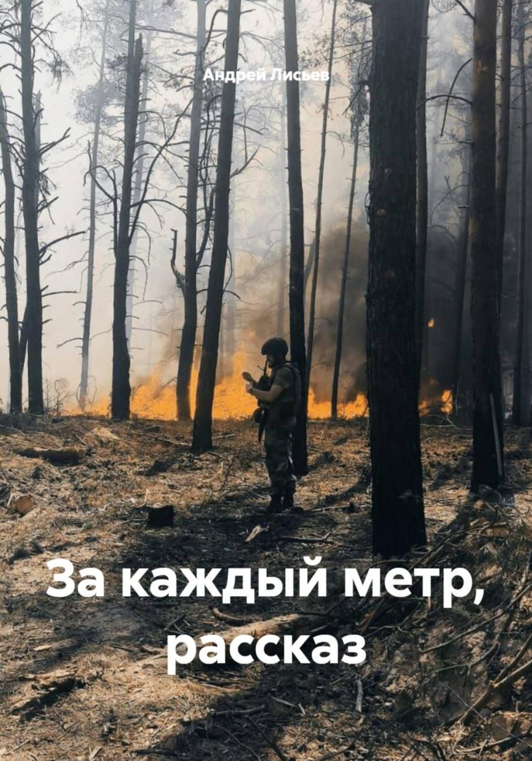 Обложка книги «За каждый метр. Рассказ»