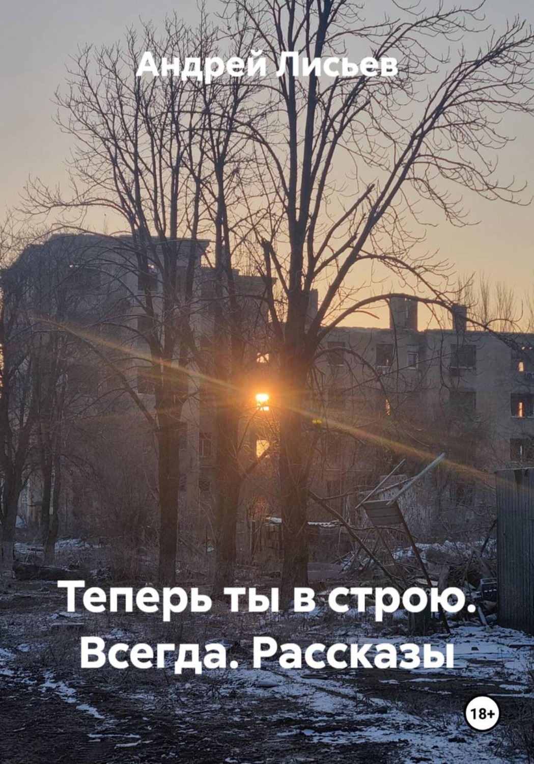 Обложка книги «Теперь ты в строю. Всегда. Рассказы»