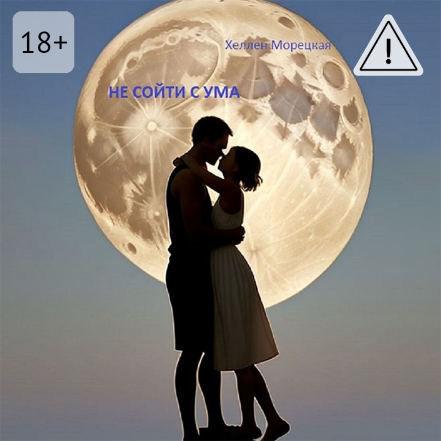 Обложка книги «Не сойти с ума»