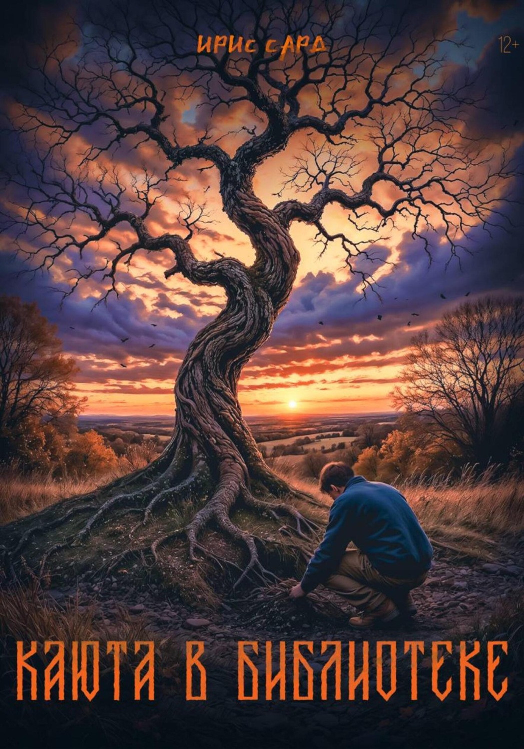 Обложка книги «Каюта в библиотеке»