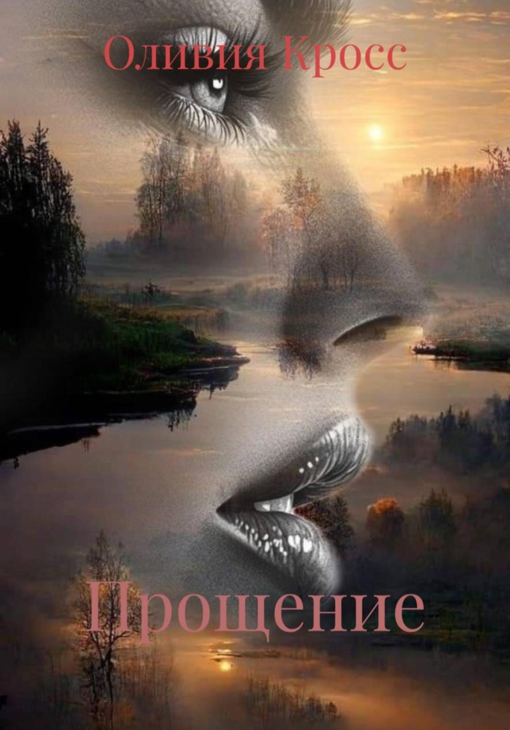 Обложка книги «Прощение»