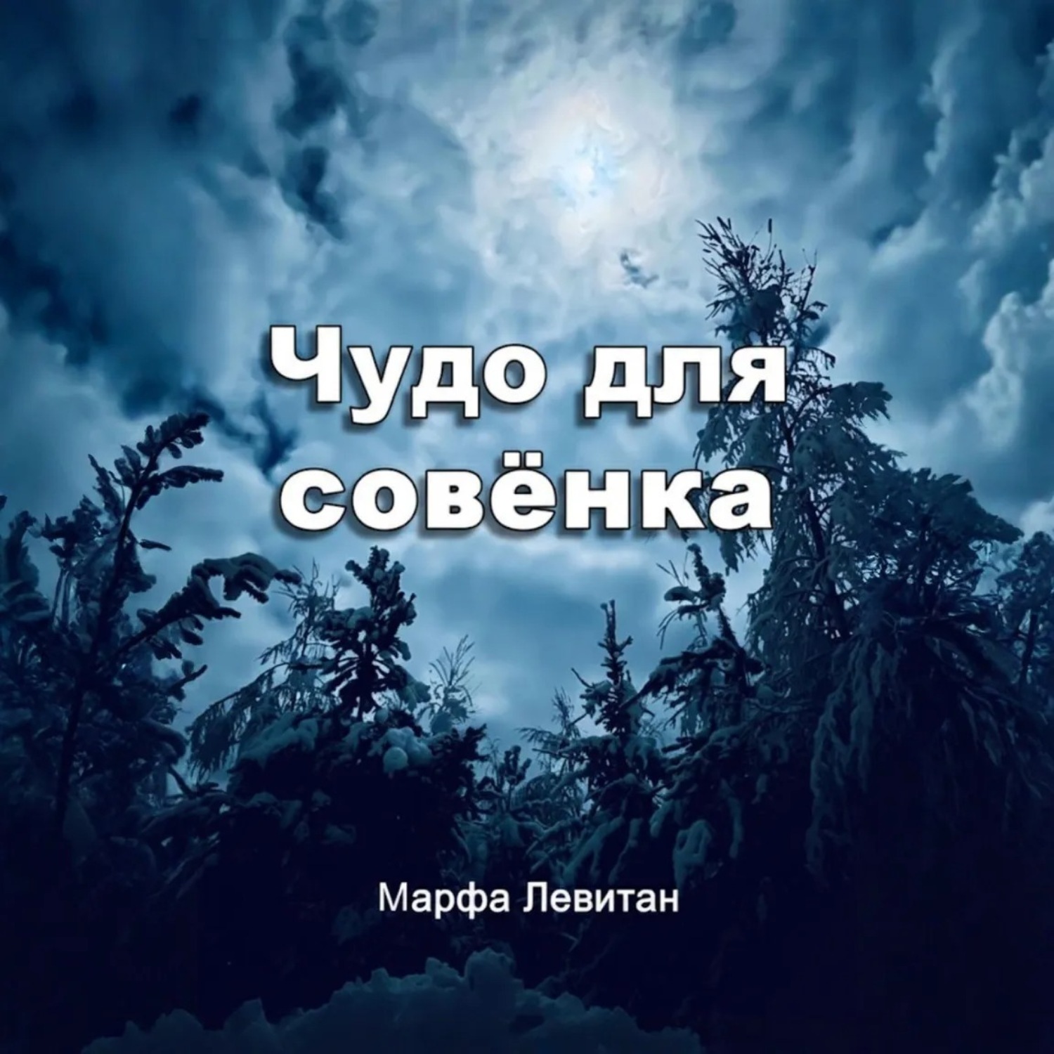 Обложка книги «Чудо для совёнка»