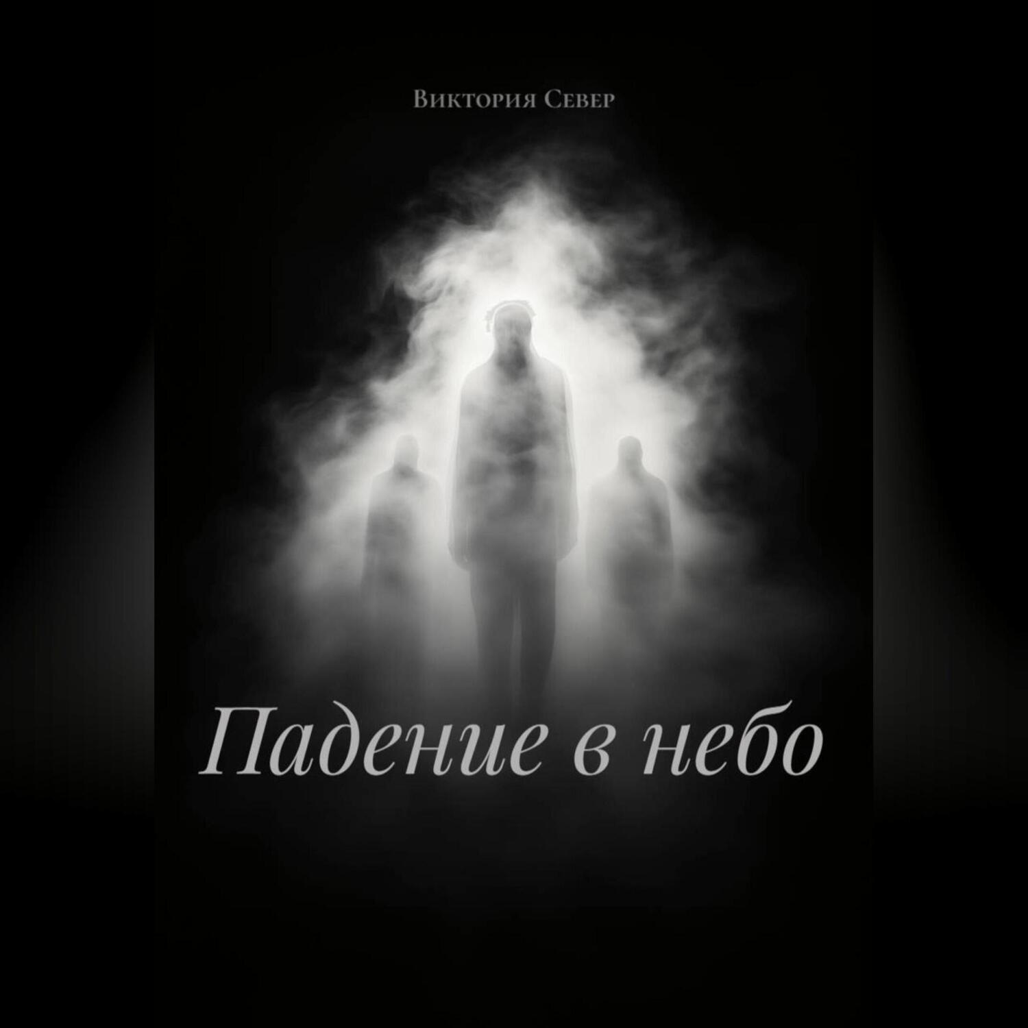 Обложка книги «Падение в небо»