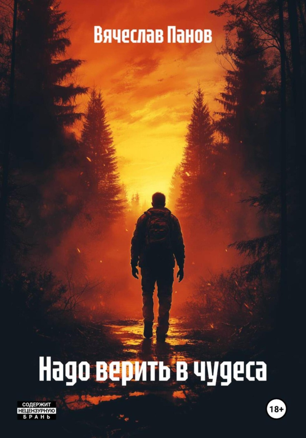 Обложка книги «Надо верить в чудеса»