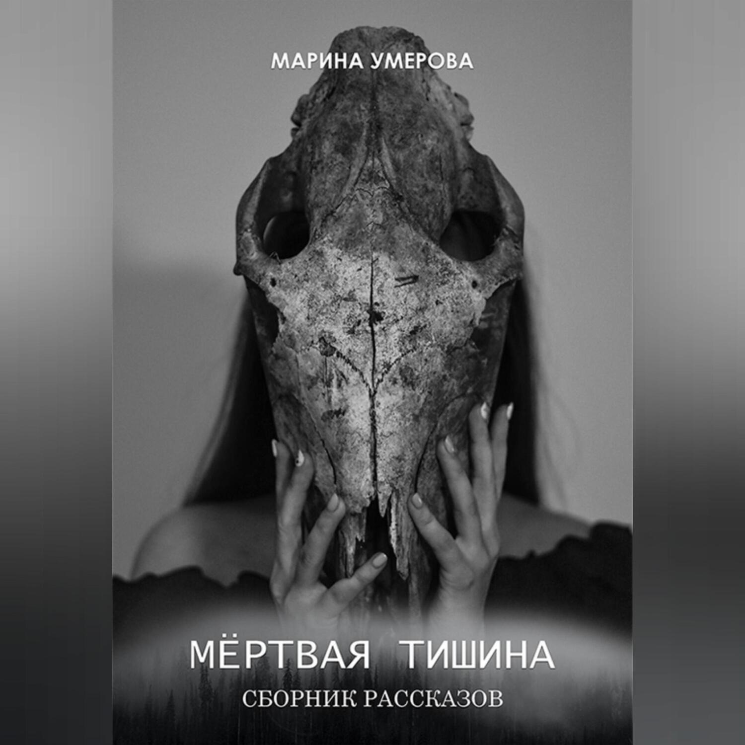 Обложка книги «Мёртвая тишина»