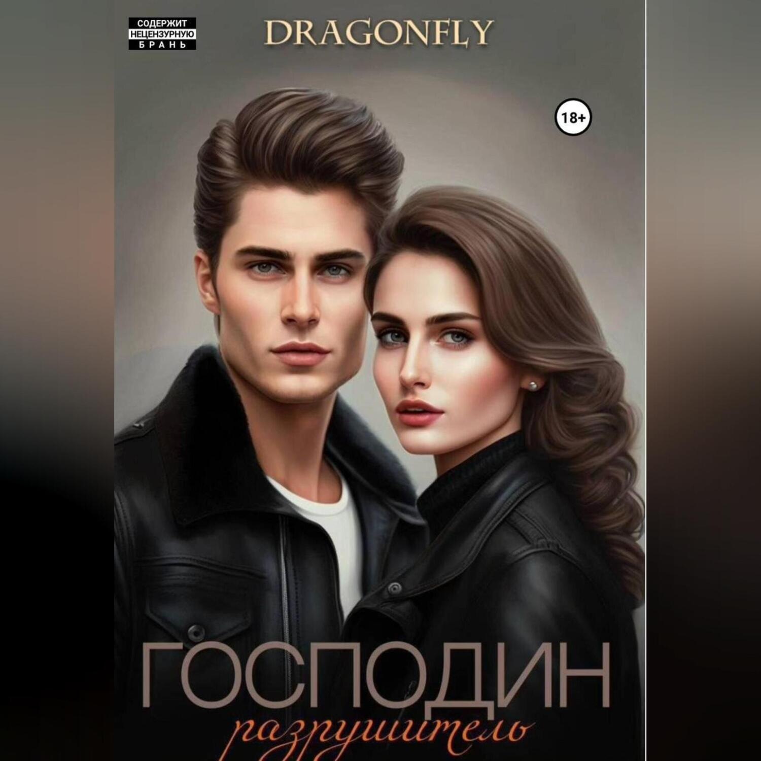Обложка книги «Господин Разрушитель»