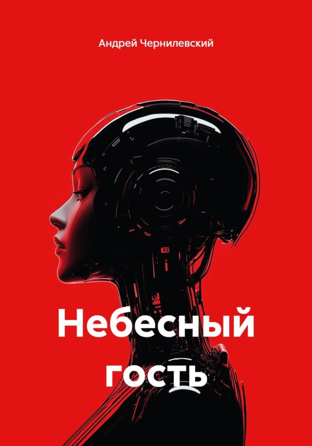 Обложка книги «Небесный гость»