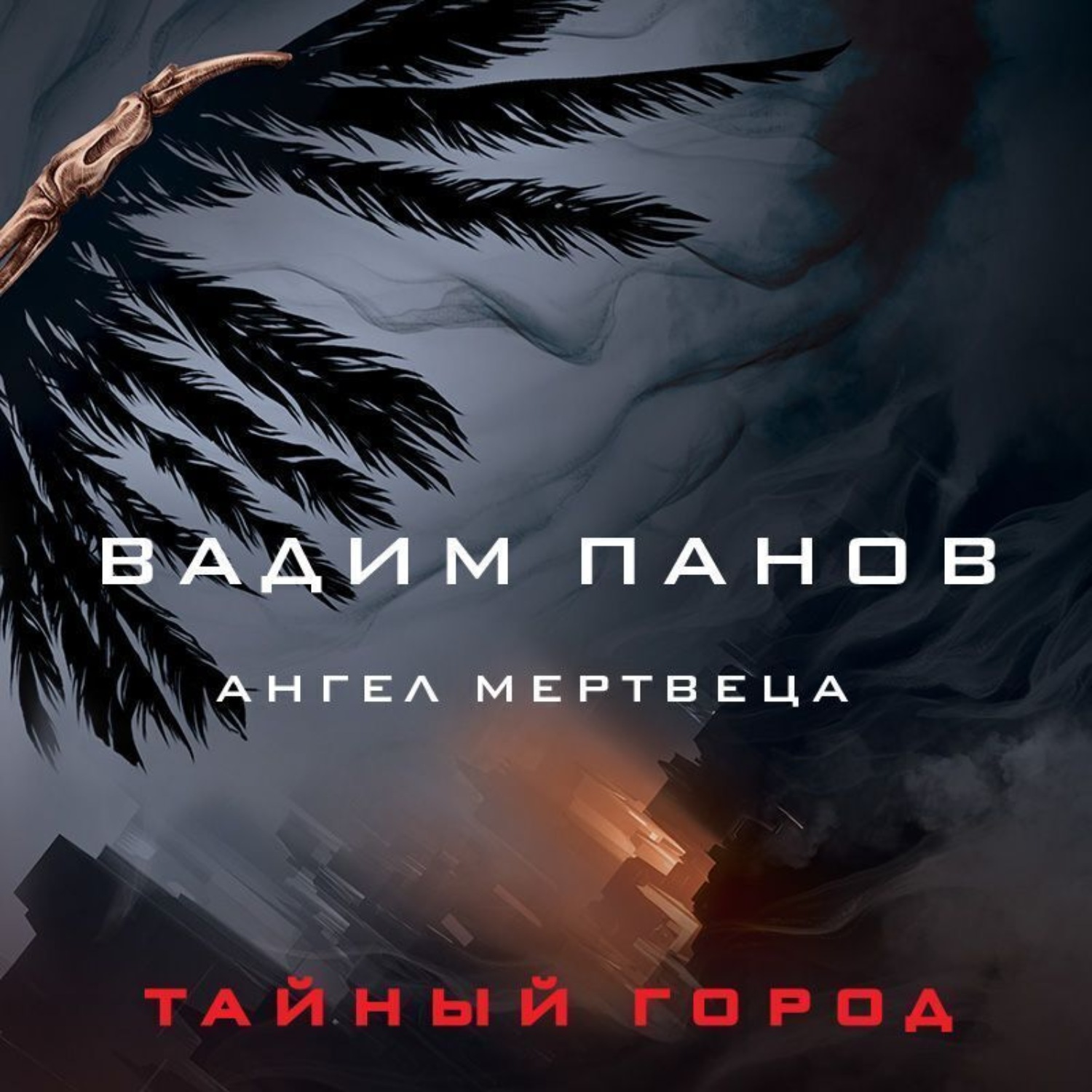 Обложка книги «Ангел мертвеца»
