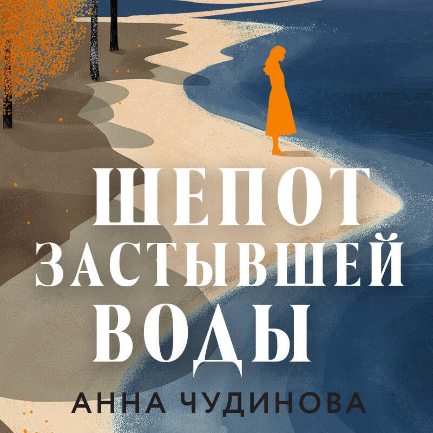 Обложка книги «Шепот застывшей воды»
