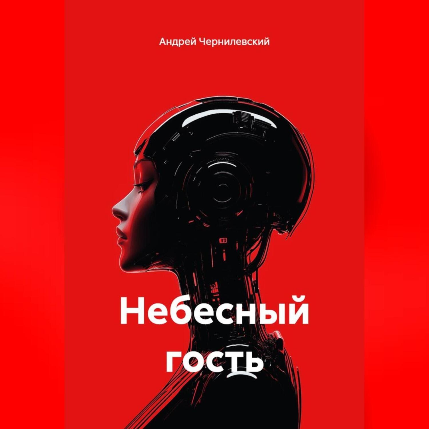 Обложка книги «Небесный гость»