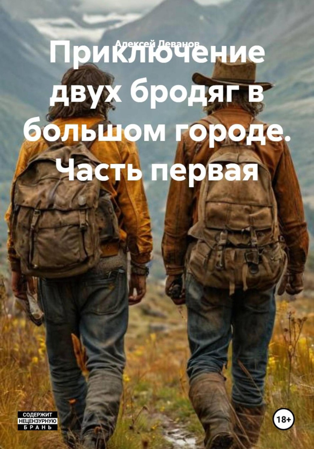 Обложка книги «Приключение двух бродяг в большом городе. Часть первая»