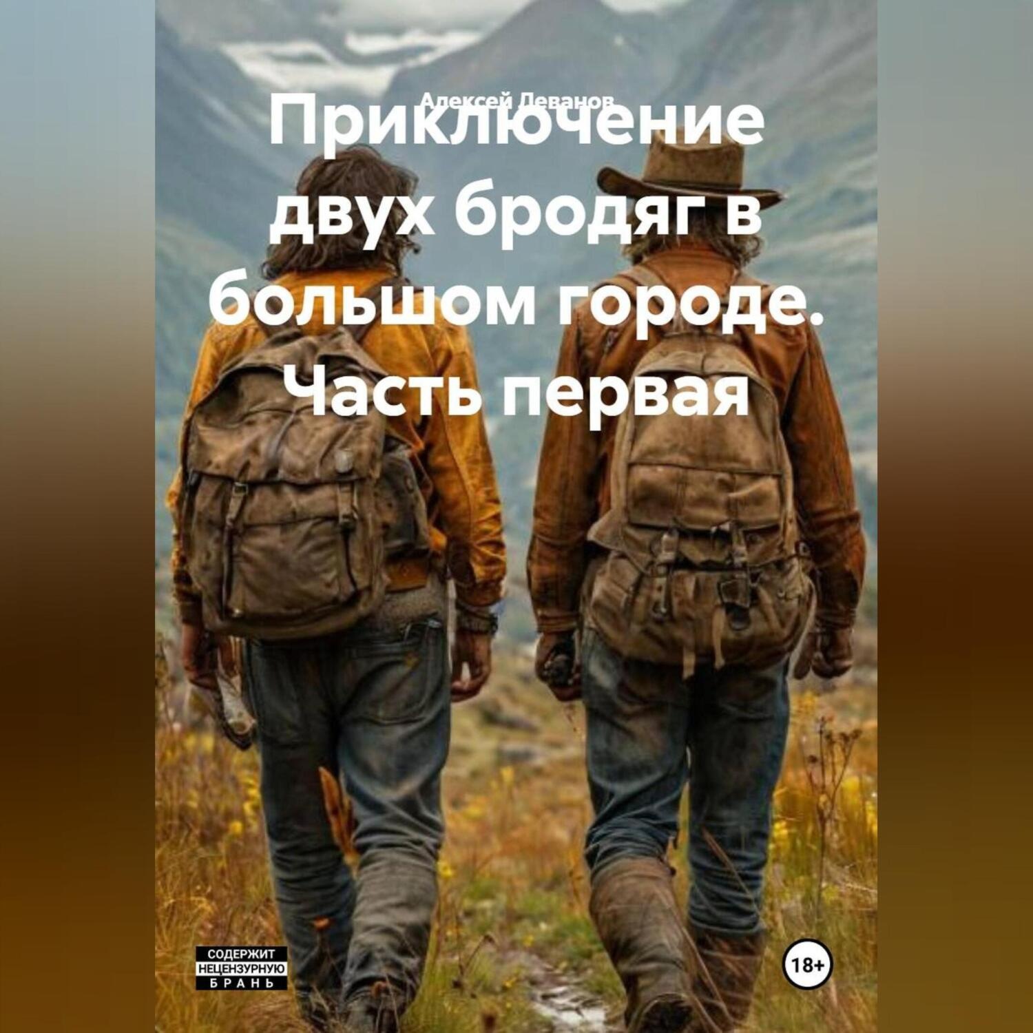 Обложка книги «Приключение двух бродяг в большом городе часть первая.»