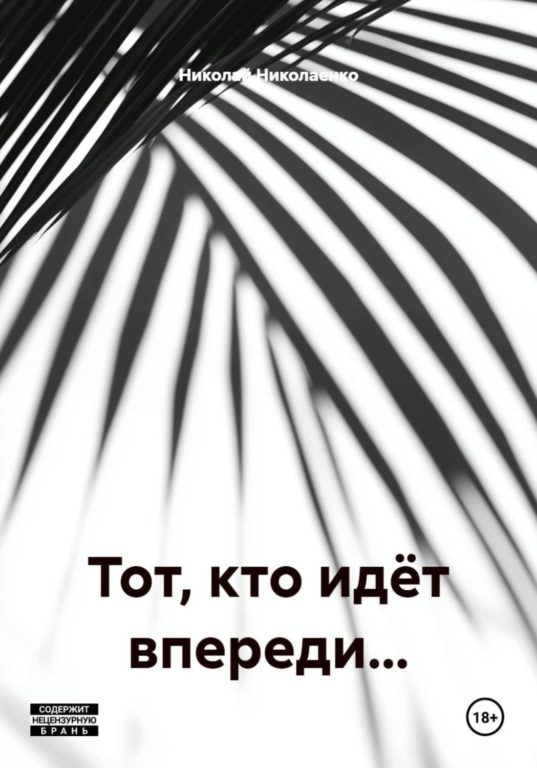 Обложка книги «Тот, кто идёт впереди…»