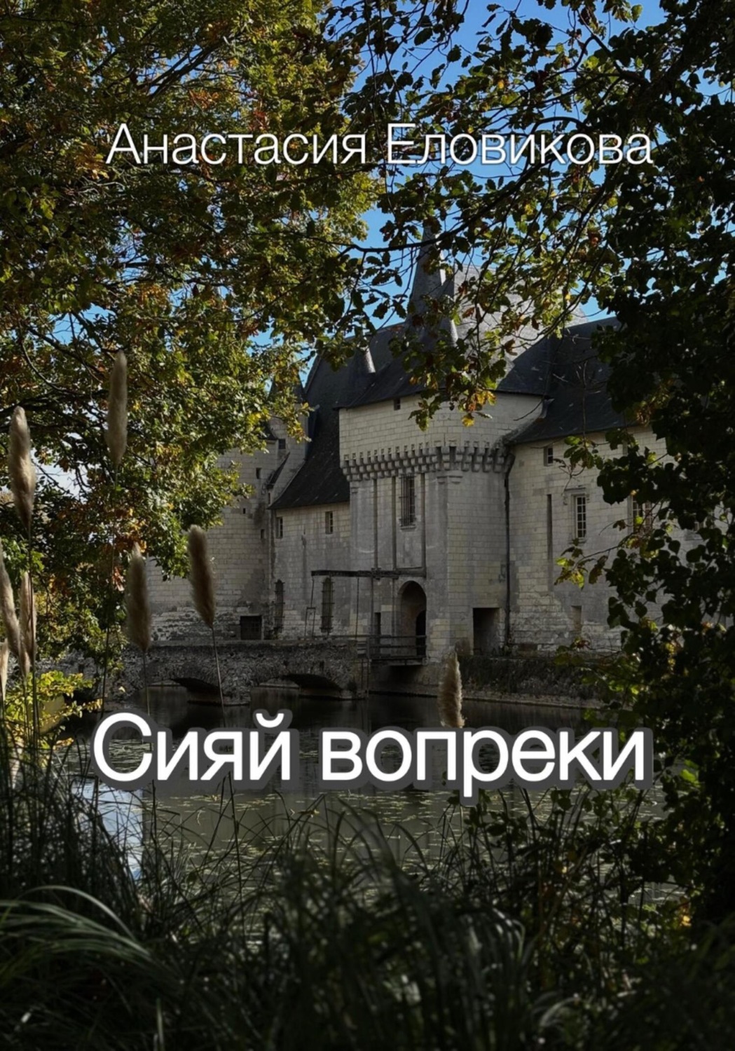 Обложка книги «Сияй вопреки»