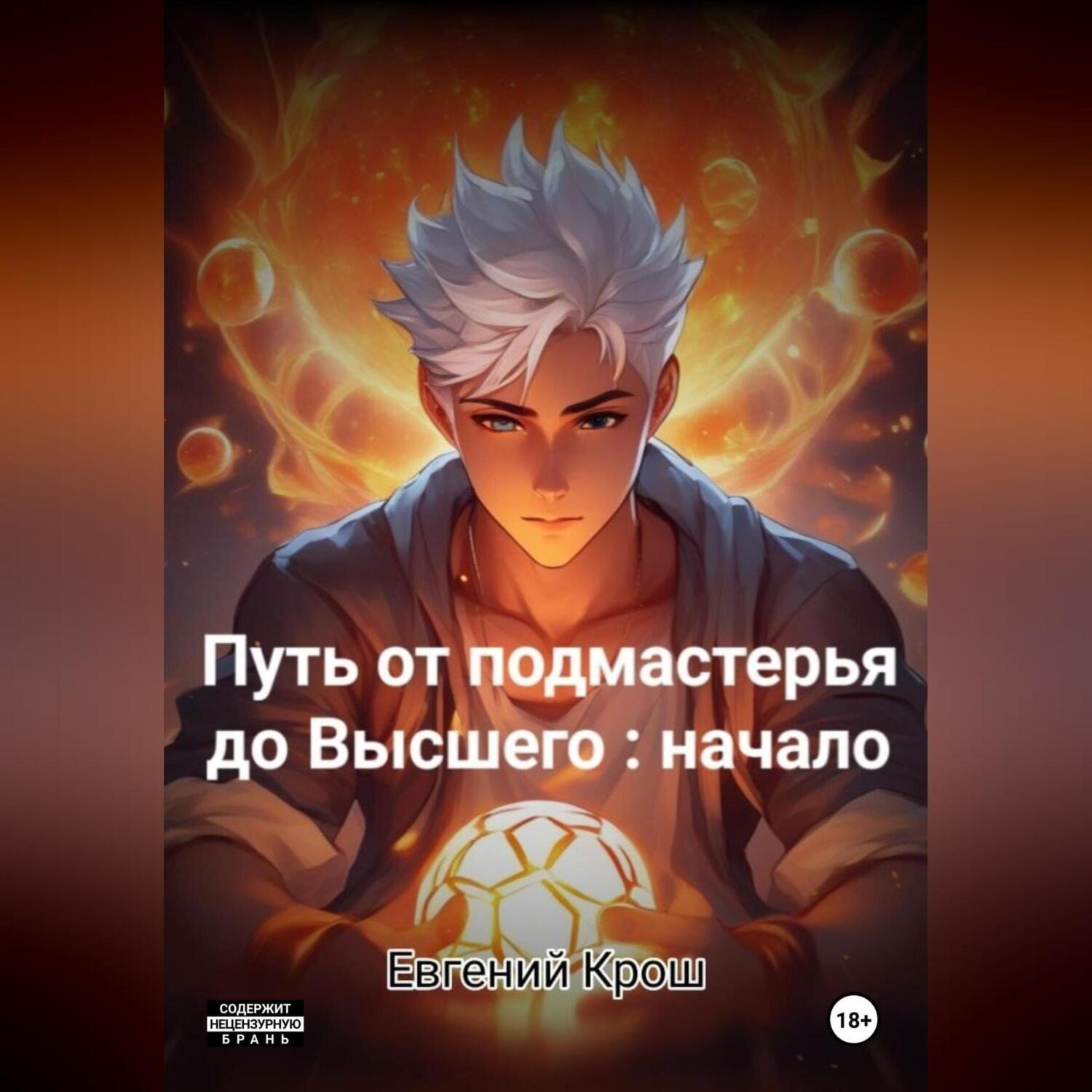 Обложка книги «Путь от подмастерья до высшего: начало»