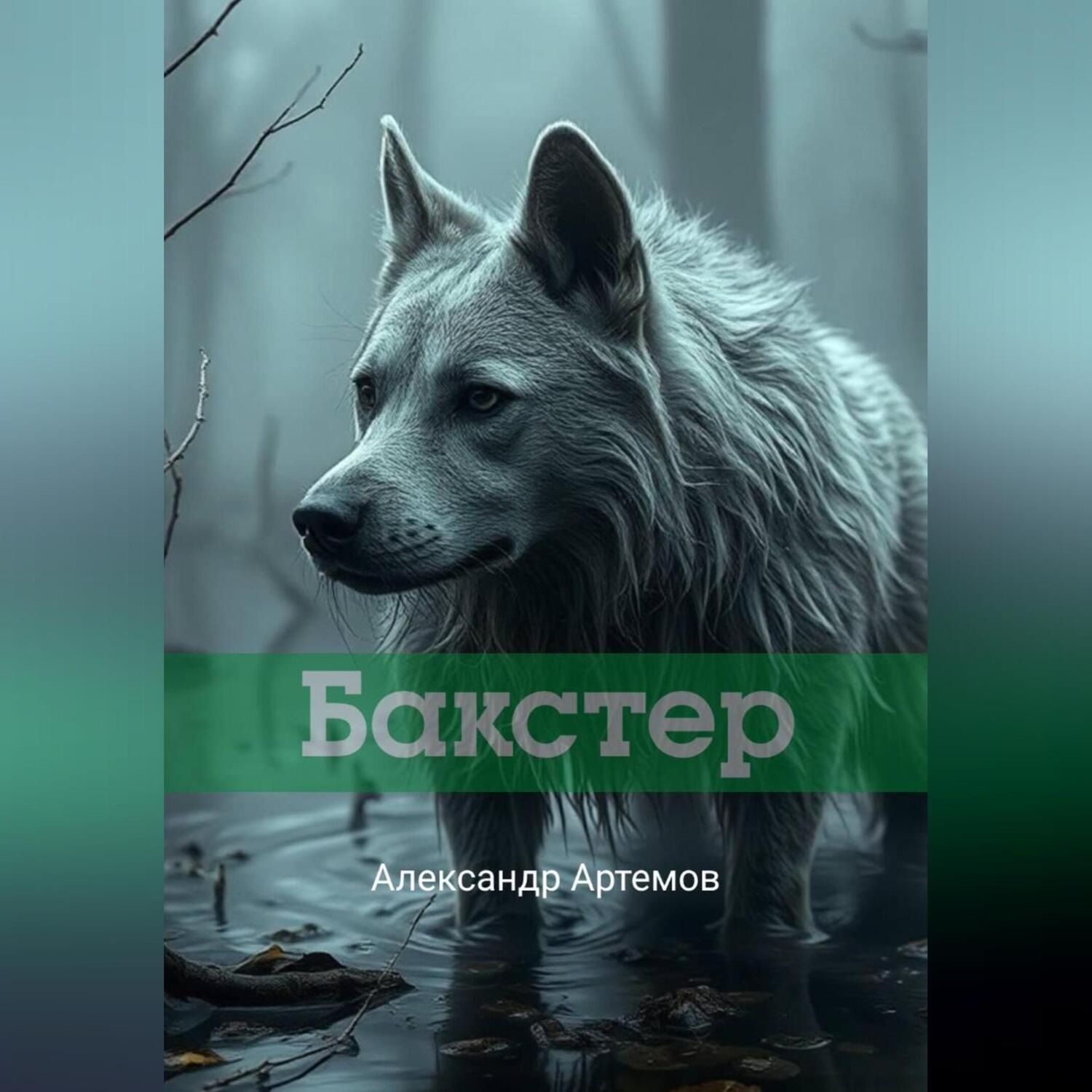Обложка книги «Бакстер»