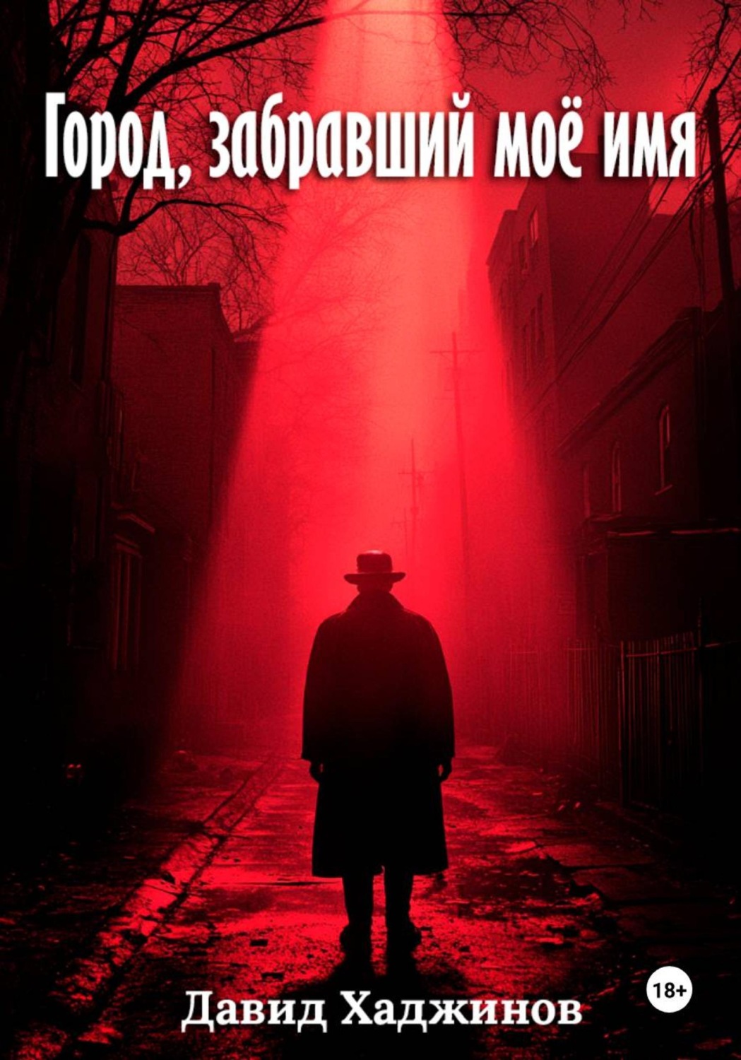 Обложка книги «Город, забравший моё имя»