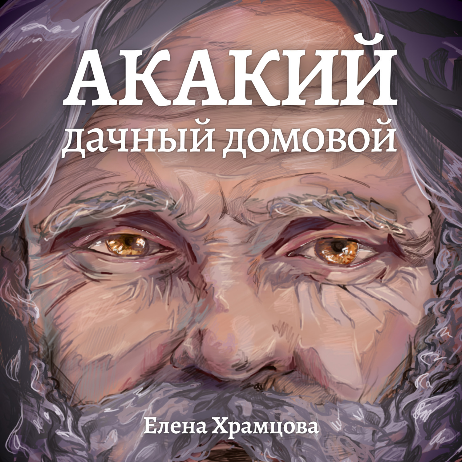 Обложка книги «Акакий, дачный домовой»