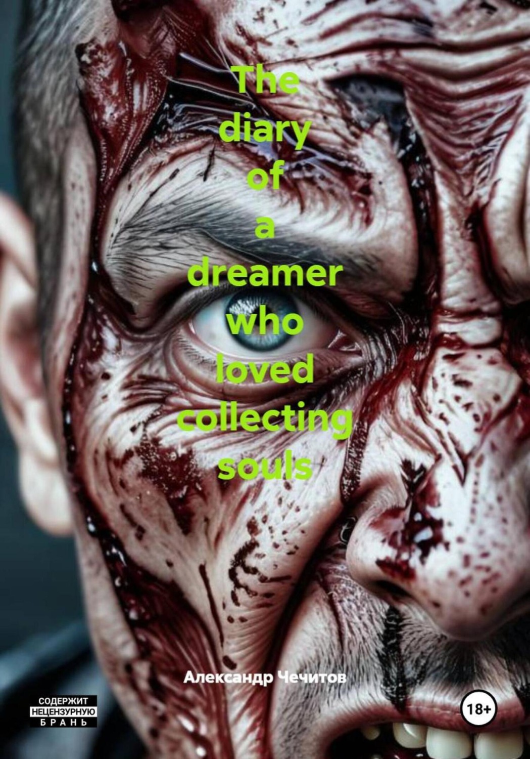 Обложка книги «The diary of a dreamer who loved collecting souls»