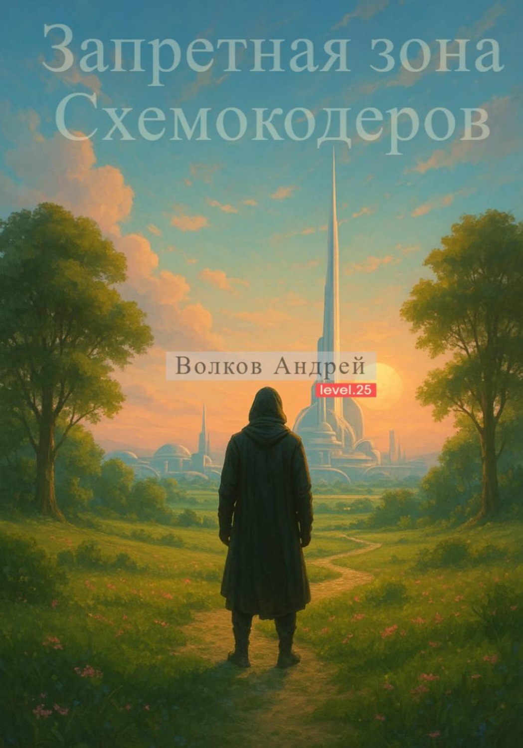 Обложка книги «Запретная зона Схемокодеров»