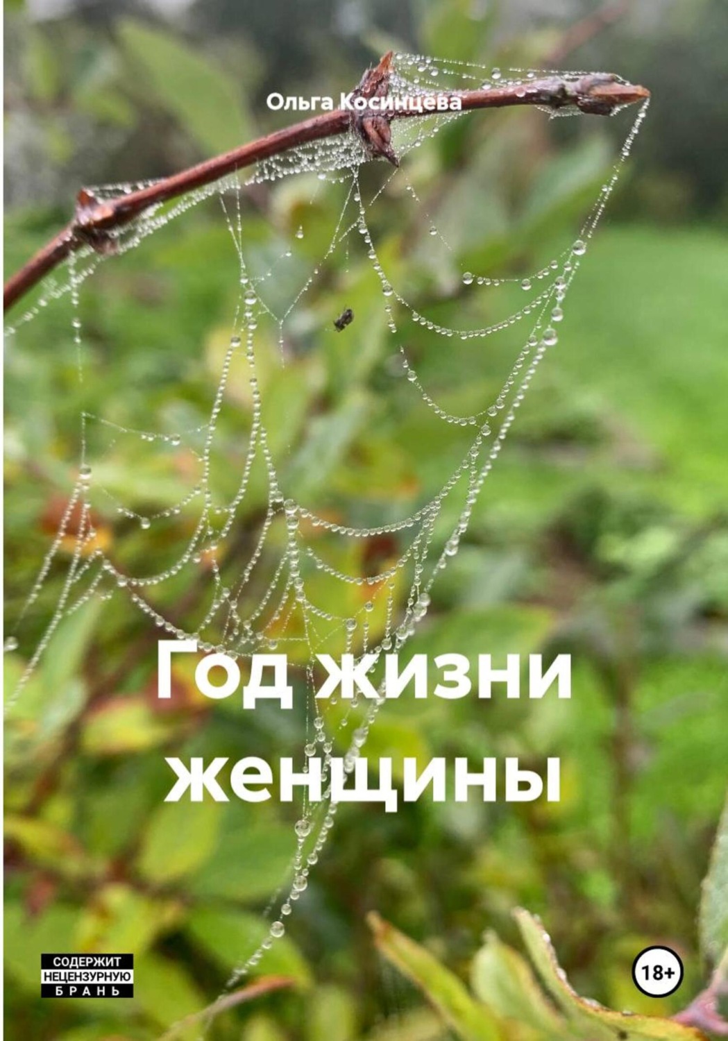 Обложка книги «Год жизни женщины»