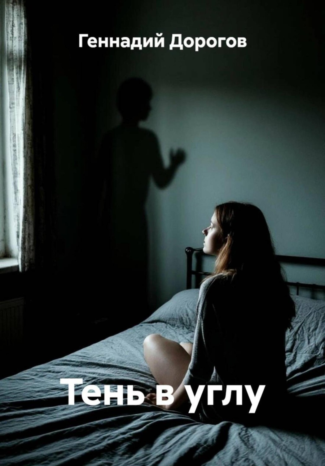 Обложка книги «Тень в углу»