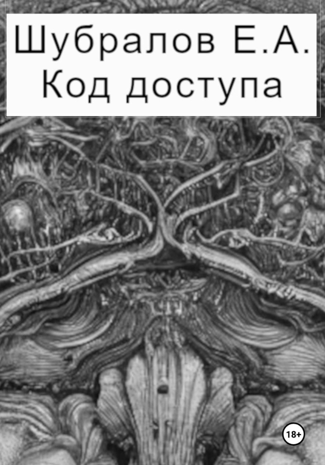 Обложка книги «Код доступа»