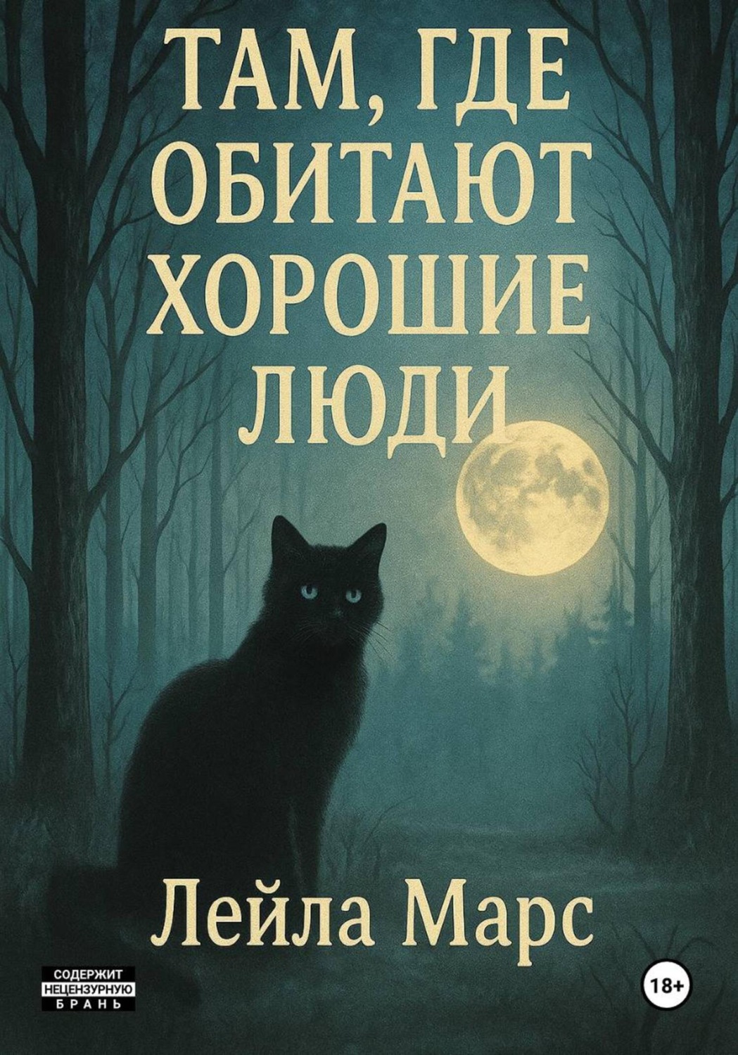 Обложка книги «Там, где обитают хорошие люди»