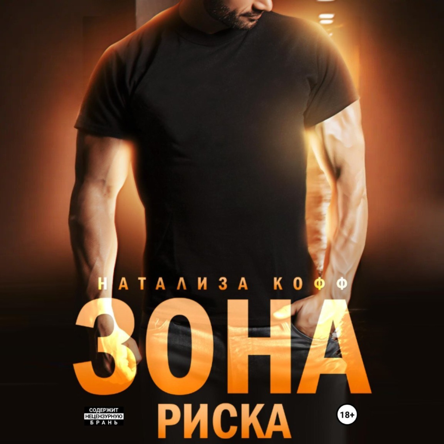 Обложка книги «Зона риска»