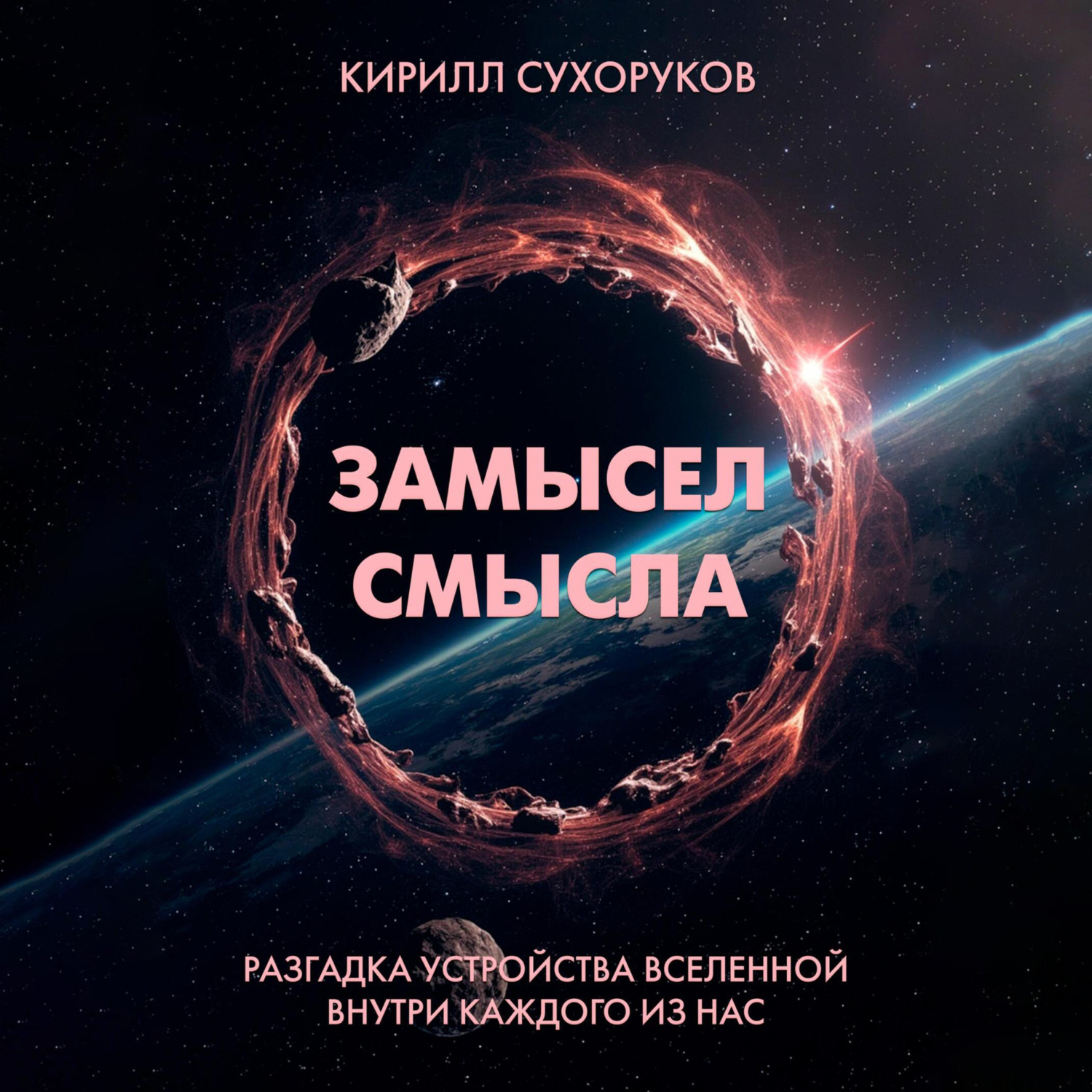 Обложка книги «Замысел смысла»