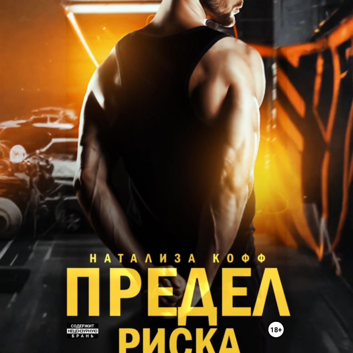 Обложка книги «Предел риска»