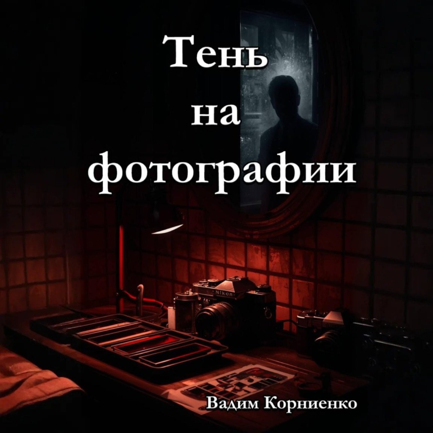 Обложка книги «Тень на фотографии»