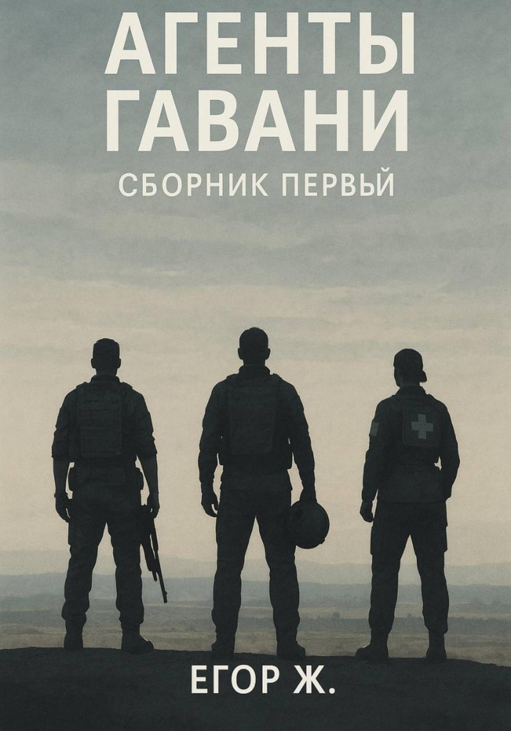 Обложка книги «Агенты гавани. До неба»
