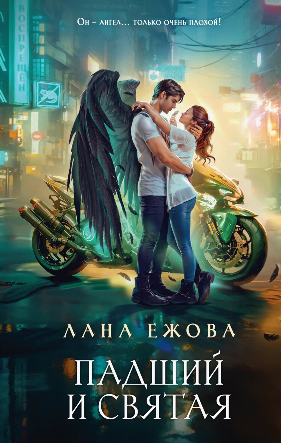 Обложка книги «Падший и Святая»