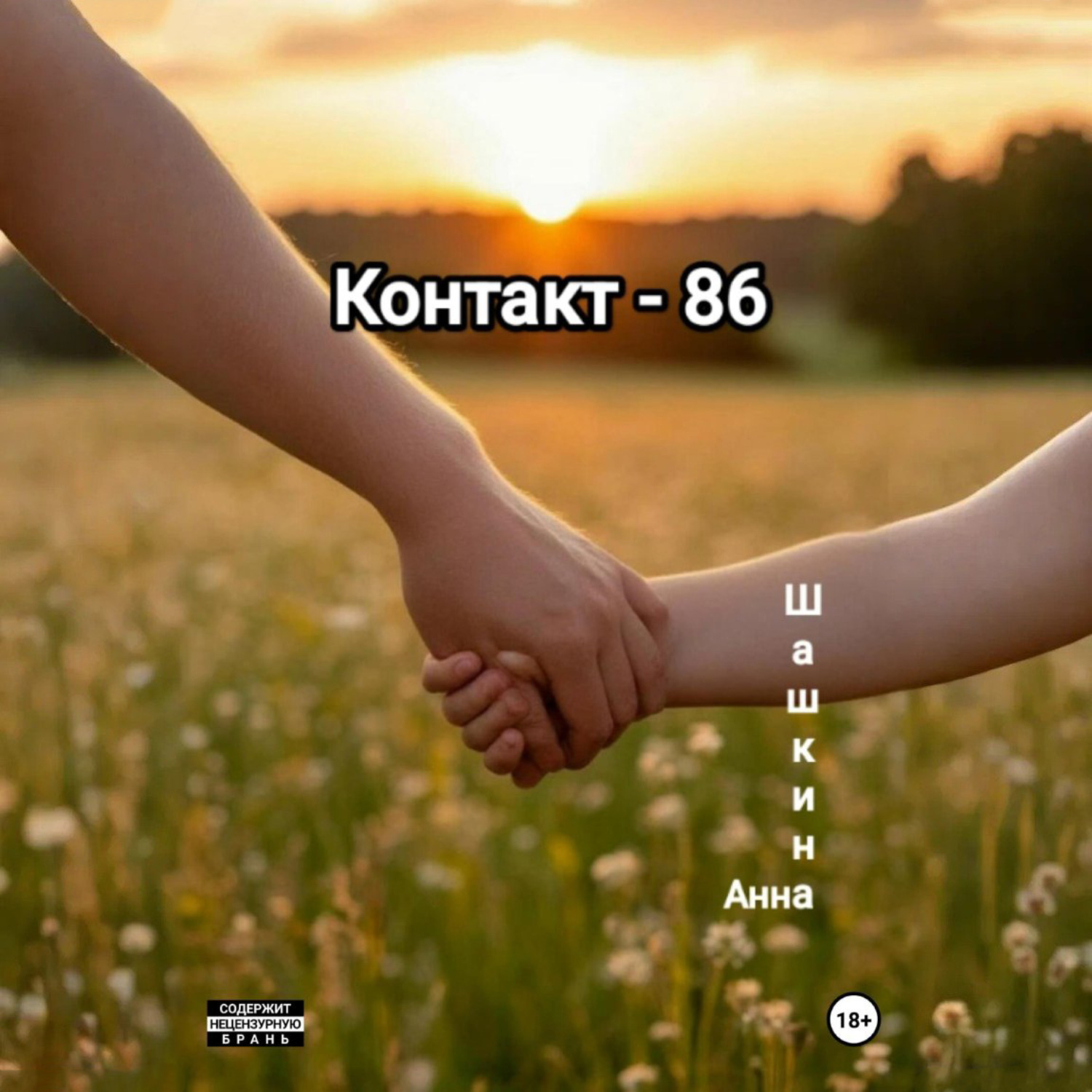 Обложка книги «Контакт-86»