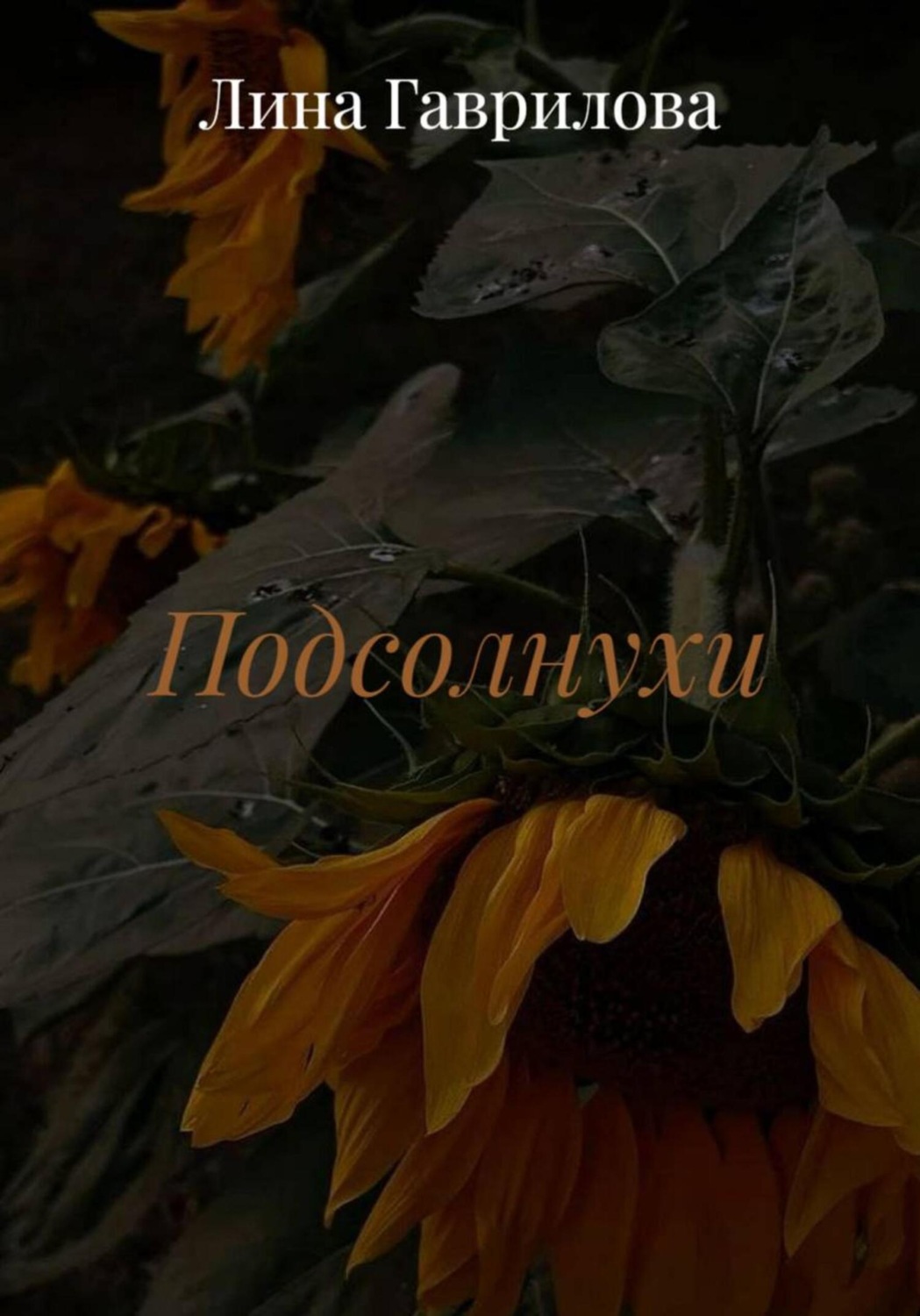 Обложка книги «Подсолнухи»