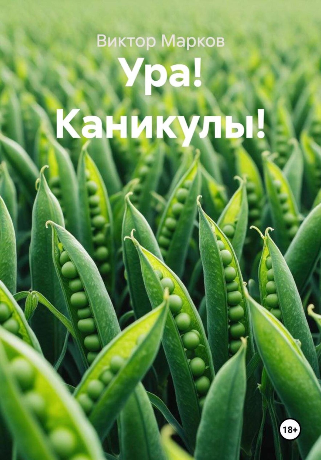 Обложка книги «Ура! Каникулы!»