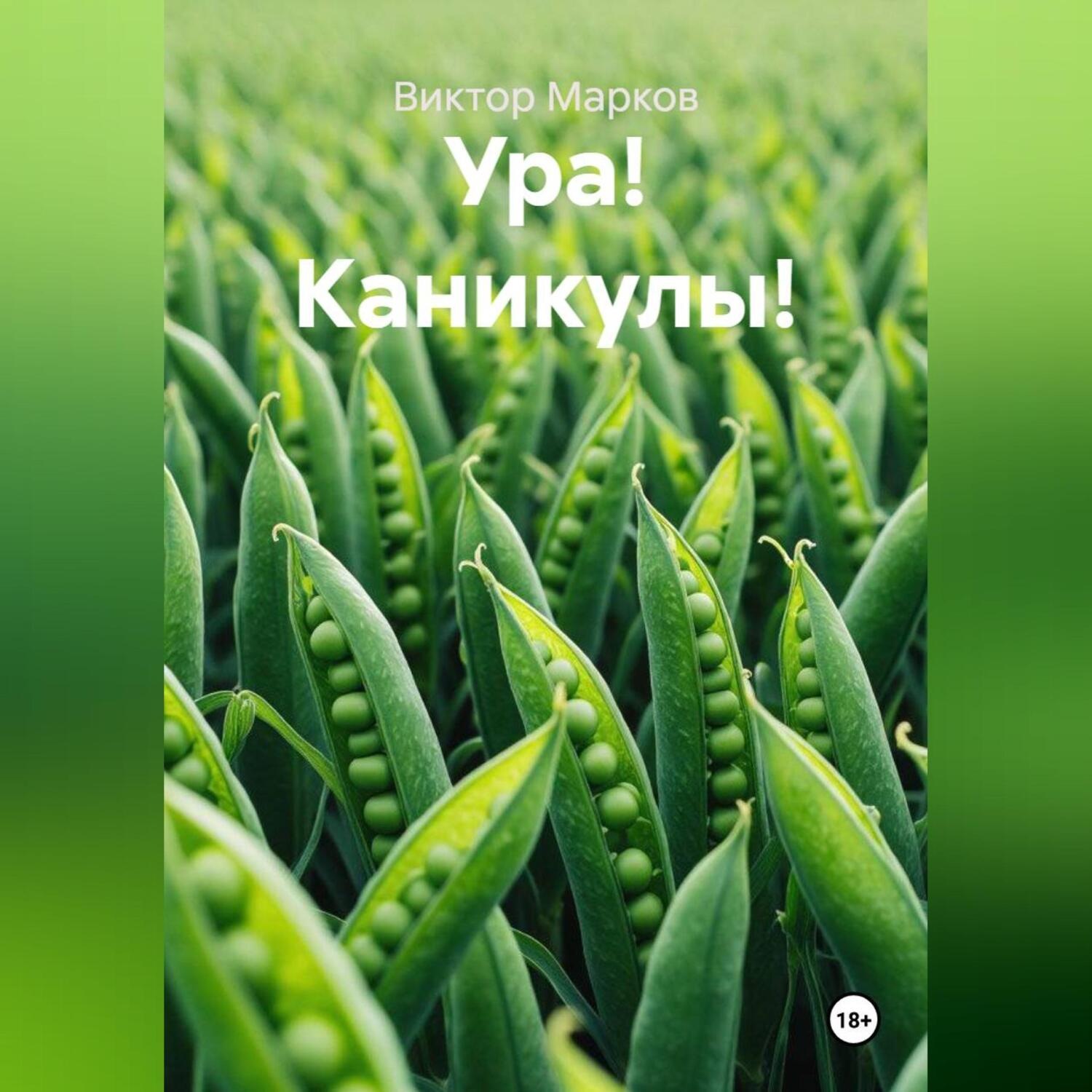 Обложка книги «Ура! Каникулы!»