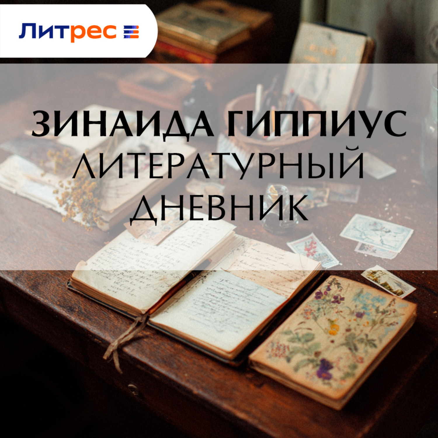 Обложка книги «Литературный дневник»
