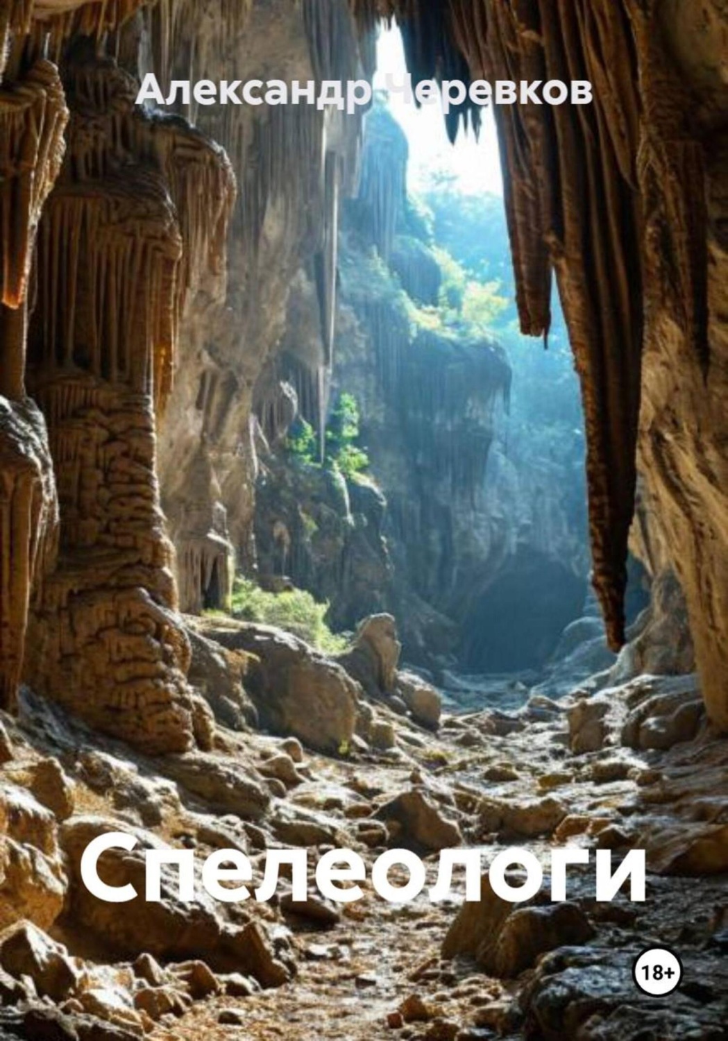Обложка книги «Спелеологи»