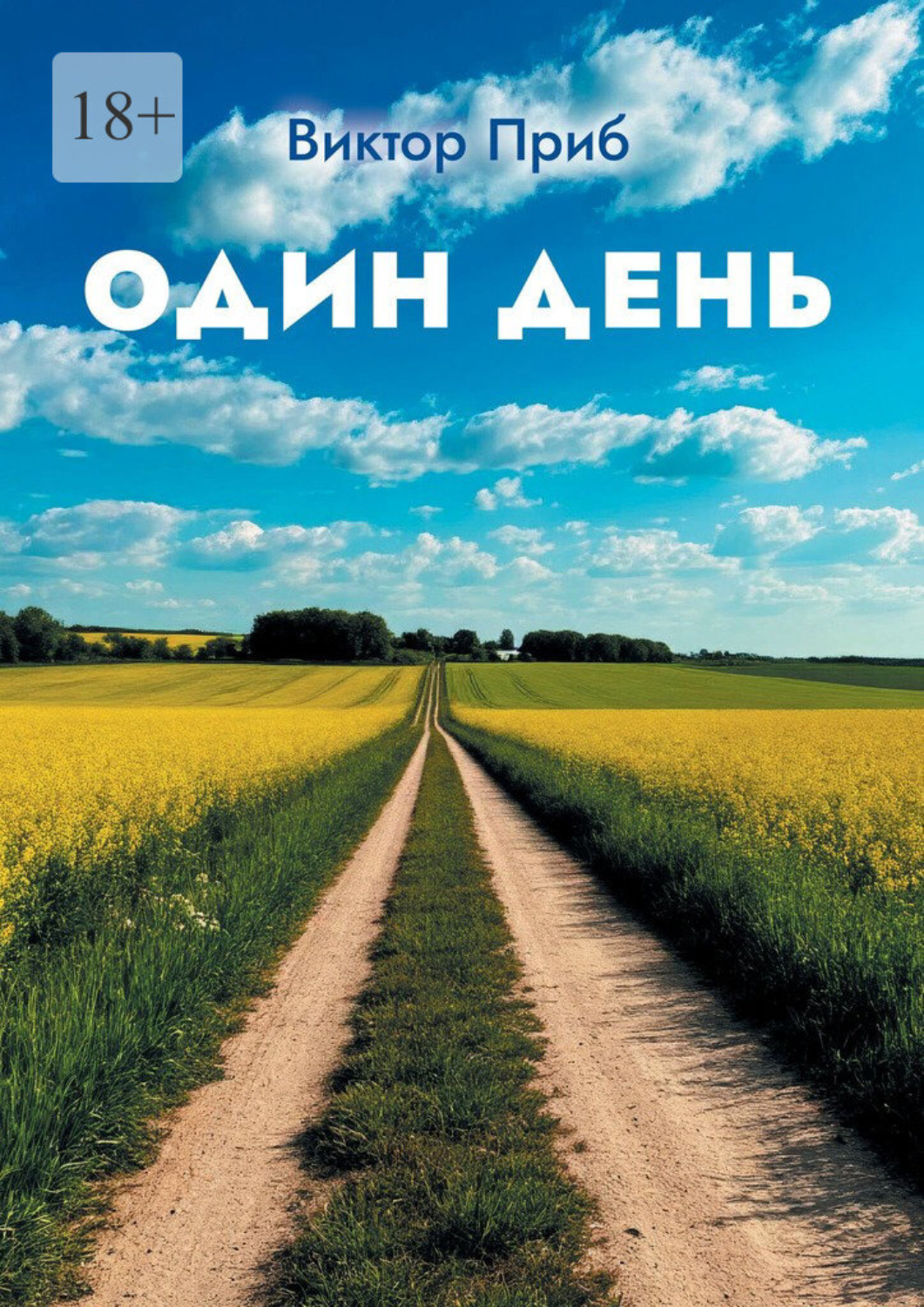 Обложка книги «Один день»