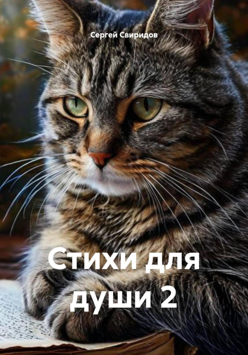 Обложка книги «Стихи для души 2»