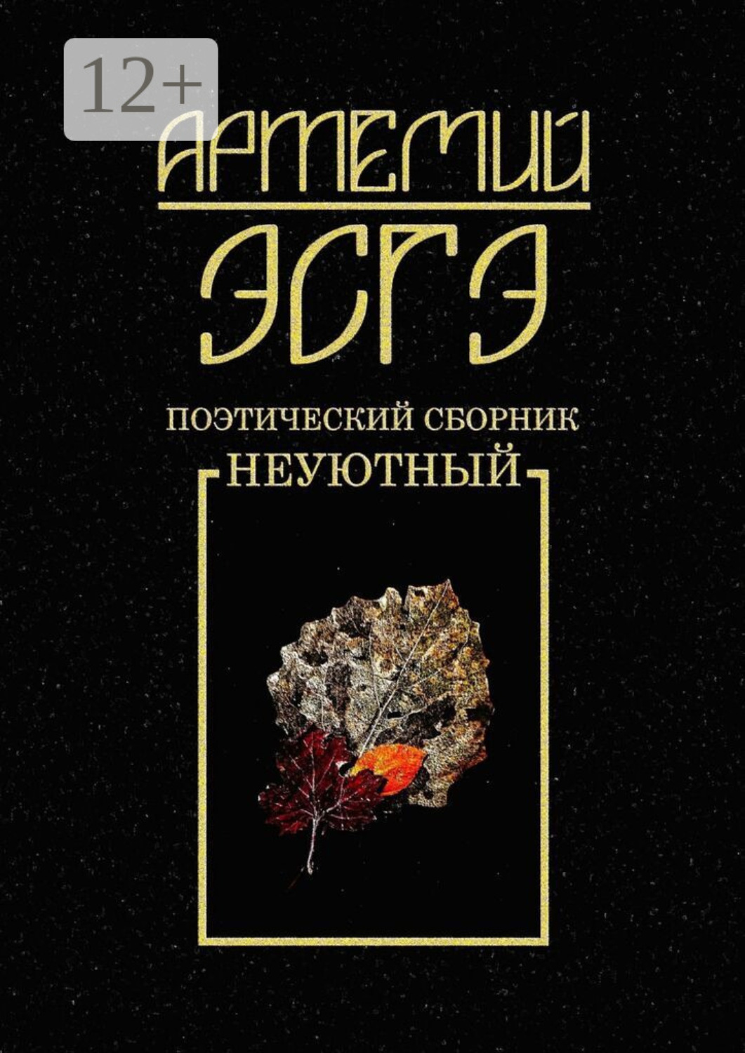 Обложка книги «Поэтический сборник. Неуютный»