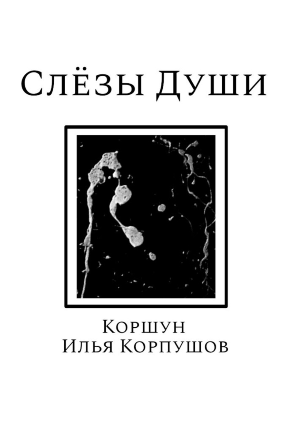 Обложка книги «Слёзы души»