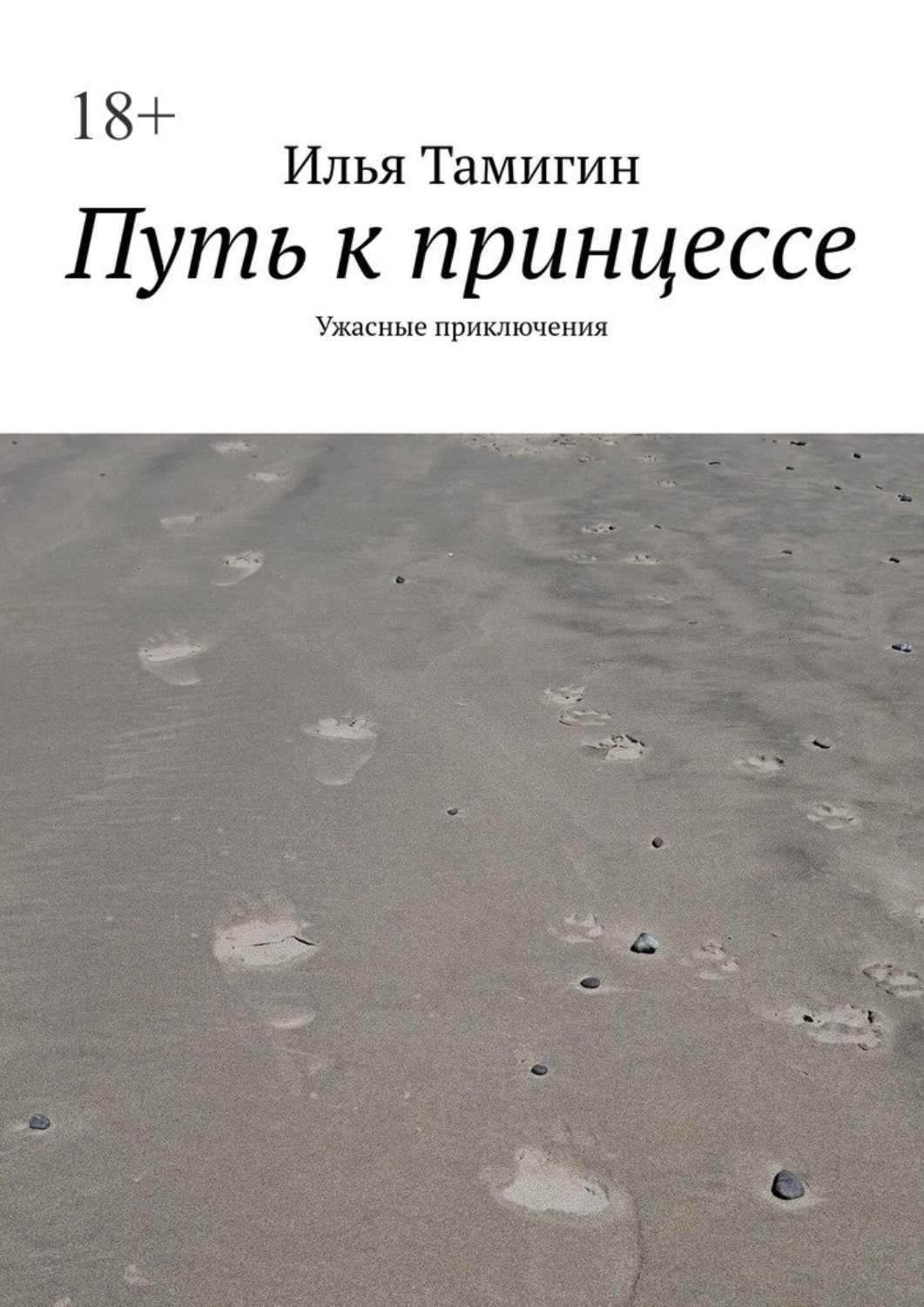 Обложка книги «Путь к принцессе. Ужасные приключения»
