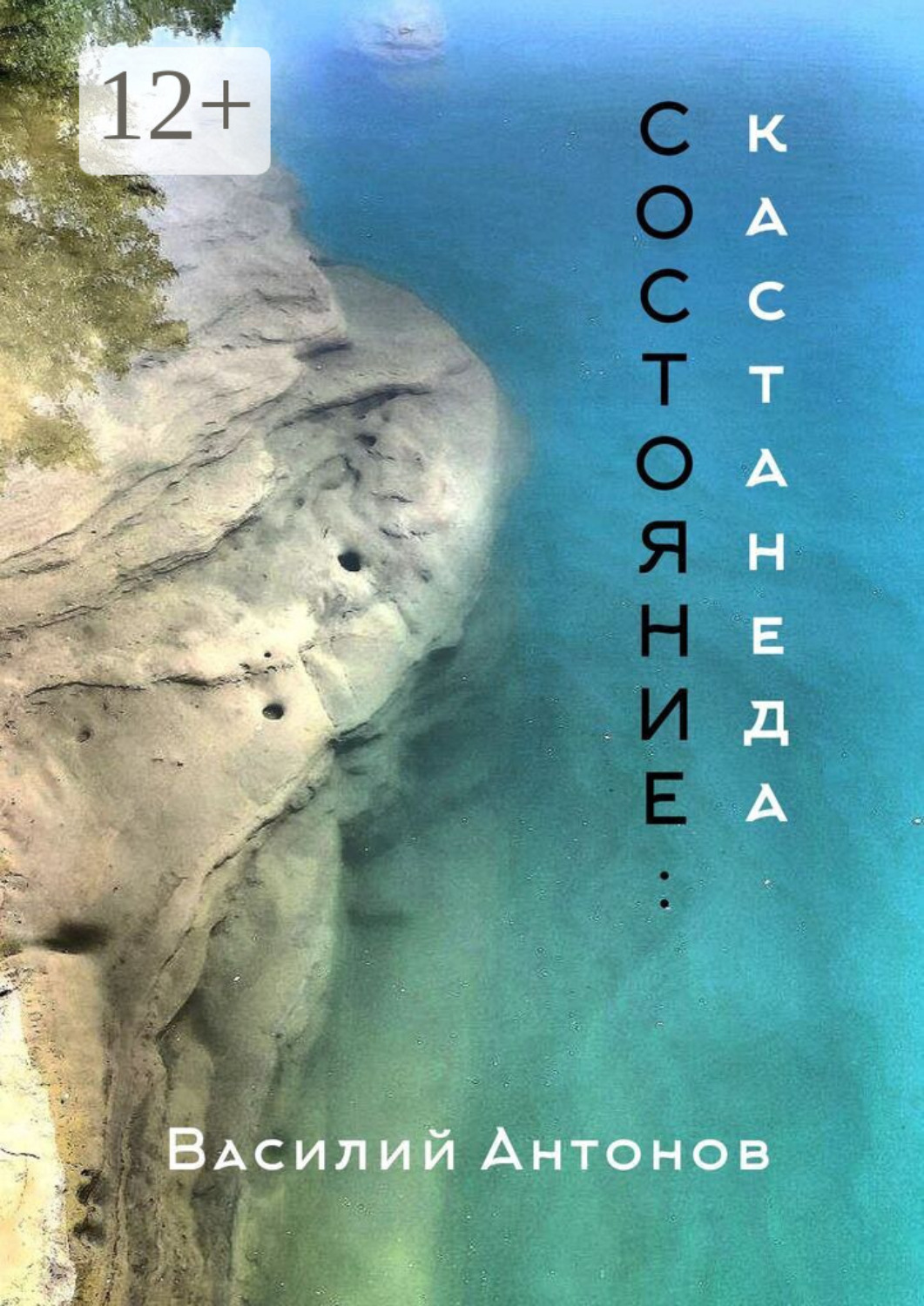 Обложка книги «Состояние: Кастанеда»