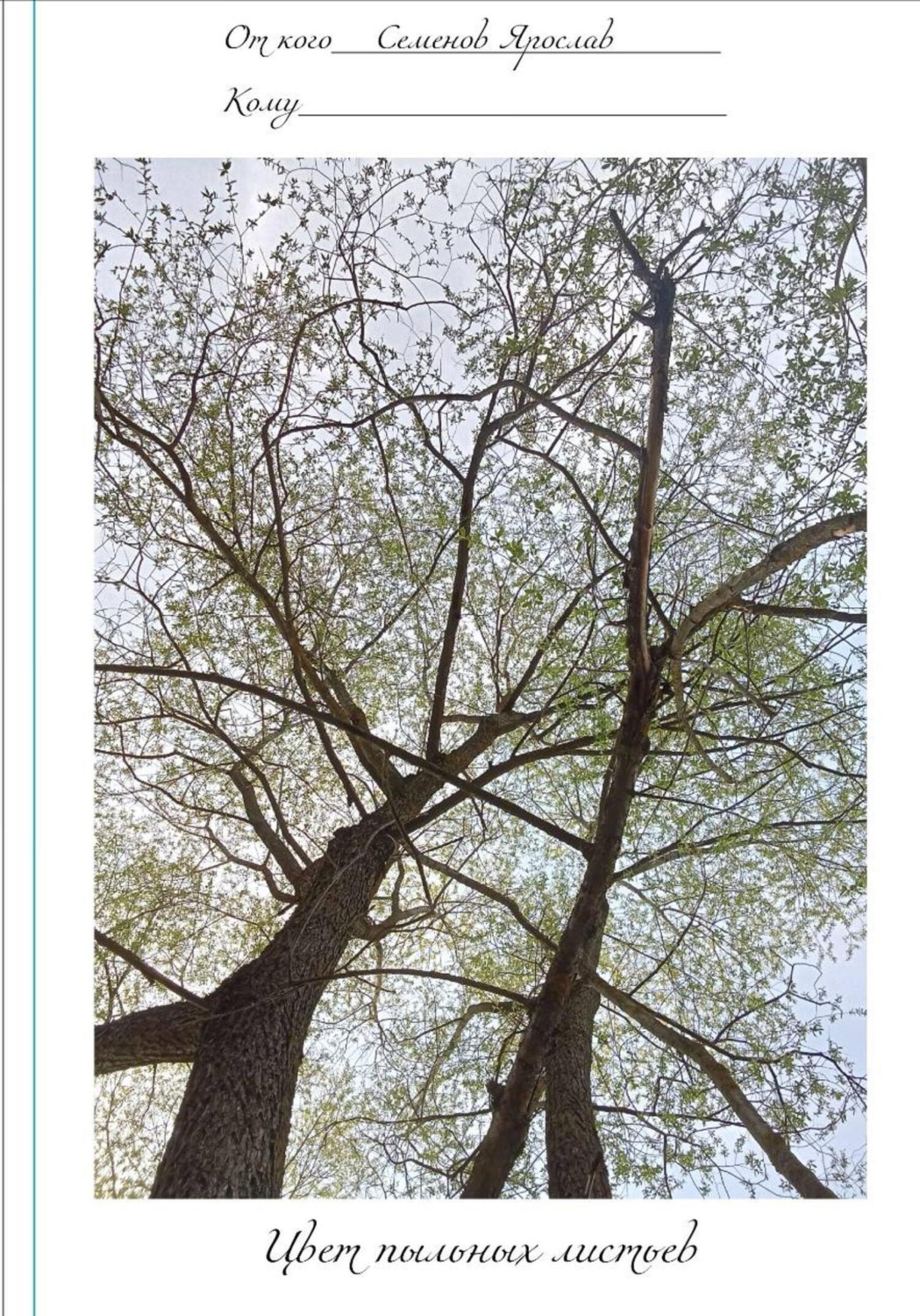 Обложка книги «Цвет пыльных листьев»